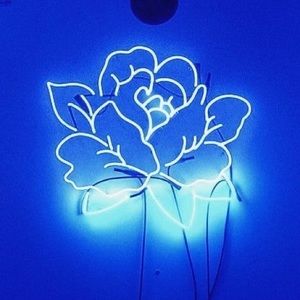 Meet your Posher, Lindsay